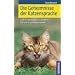 Katzenverhalten