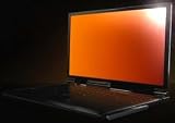 Privacy Filter, 10.1 quot; Widescreen, Gold