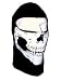 Skull Balaclavas Image
