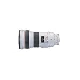 Canon EF 300mm f/2.8L IS USM
