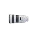 Canon Telephoto prime Lenses - EF 300mm f/2.8L IS USM