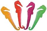 Dive Sea horses