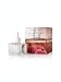 Slatkin & Co. Sweet Cinnamon Pumpkin Scentport Home Fragrance Refills From Bath & Body Works (2 Bottles)