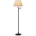 Robert Abbey Victorian Bronze Swing Arm Floor Lamp