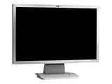 HP W19  LCD Monitor