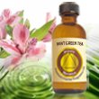 Mint Green Tea Scented Oil - Bonus Size 120 ml by Premium Home Fragrance Oil