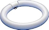 Westinghouse Lighting 37371 Fluorescent Circleline Bulb