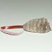 Da Bird - Cat Catcher Mouse Refill