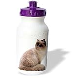 Cats - Himalayan - Water Bottles by 3dRose LLC