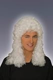 Adult Judge Wig [Apparel]