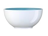 Arzberg TRIC Caribic Decor Inside Small Round Bowls Set of 4