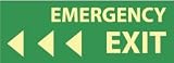 NMC Emrgncy Exit(left) Ps Glow Direction Sgn