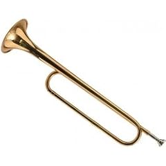 Steinbach Bb-Fanfare Signalhorn Goldmessing