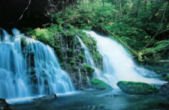 Electronic Waterfall Picture 21z WStNVPL Electronic Waterfall Picture