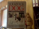 You & your dog