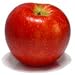 Honey Crisp Sampler