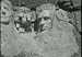 Search : Classic National Park Films