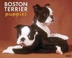 image link - - B002IA3264