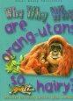 Why, why, why are orang-utans so hairy?