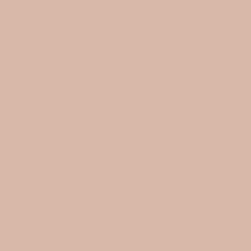 PANTONE SMART 14-1310X Color Swatch Card, Cameo Rose