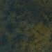 10 x 24 Moss Hand-Dyed Muslin Background