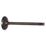 Auto7 612-0055 Intake Valve by Auto7