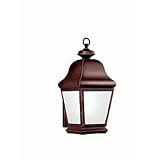Troy Lighting Carlton Outdoor Wall Mount Lantern
