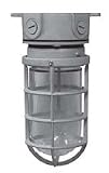 Vaporproof Incandescent Box Mount
