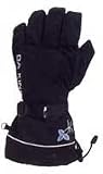 DaKine Camino Womens Snowboard Glove