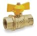 Industrial Grade 1WMG8 Ball Valve, 2 PC, 3/8 In FNPT, Forged Brass