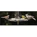 Nectar Guard Tips, White