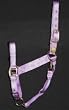 Hamilton Deluxe 1" Nylon Horse Halter with Adjustable Chin and Snap, Lavender, Small/Cob (500-800 lbs)