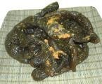 【蔵出しバラ】  胡瓜味噌漬  (550g)