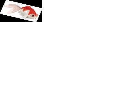 Toysmith Wind Up Bath Fun Fantail Goldfish (Colors May Vary)