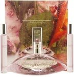 EUPHORIA SPRING TEMPTATION by Calvin Klein Gift Set for WOMEN: SET-EAU DE PARFUM SPRAY 3.4 OZ (LIMITED EDITION) & EAU DE PARFUM ROLLERBALL .33 OZ MINI