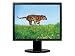 Lg Elecronics Usa 20/1600X1200/800:1/8MS/DVI 300 Cd/M2 8ms 178/178 Viewing Angle Analog Inputs