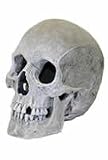 BLUE RIBBON LIFE LIKE HUMAN SKULL