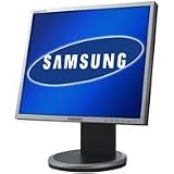 Samsung Syncmaster 940T 48,3 cm (19 Zoll) TFT Monitor silber DVI (Kontrast 1000:1)