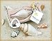 Beach Theme Sea Shell Bottle Opener Favors