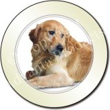 GOLDEN RETRIEVER DOG Tax Disc Holder