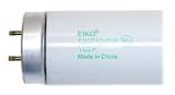 Eiko 15542 F20T12/CW
