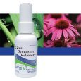 King Bio Natural Medicine Homeopathic Remedy Formula for Gout Symptom, 2 Fluid Ounce