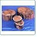 Groovystuff Teak Wood Tinder Box - Large 9 x 7 x 3