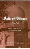 Sufis of Bijapur, 1300-1700: Social roles of Sufis in medieval India