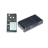 Sharp BT 80BK - Camcorder battery