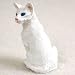 oriental shorthair - Oriental Shorthair Wht Tiny One