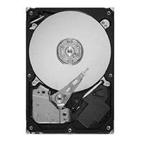 Seagate SV35.5 Series SATA 1.0 TB Internal Hard Drive (ST31000525SV)