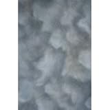 Master Series Northern Sky 10 x 12 (3 x 4m) Muslin Background