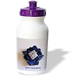 Florene Jewish Theme - Hanukkah Is Here - Water Bottles
