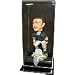 Atlanta Falcons Bobblehead Display Case